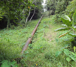 サモア国電力開発円借款実施促進アドバイザー